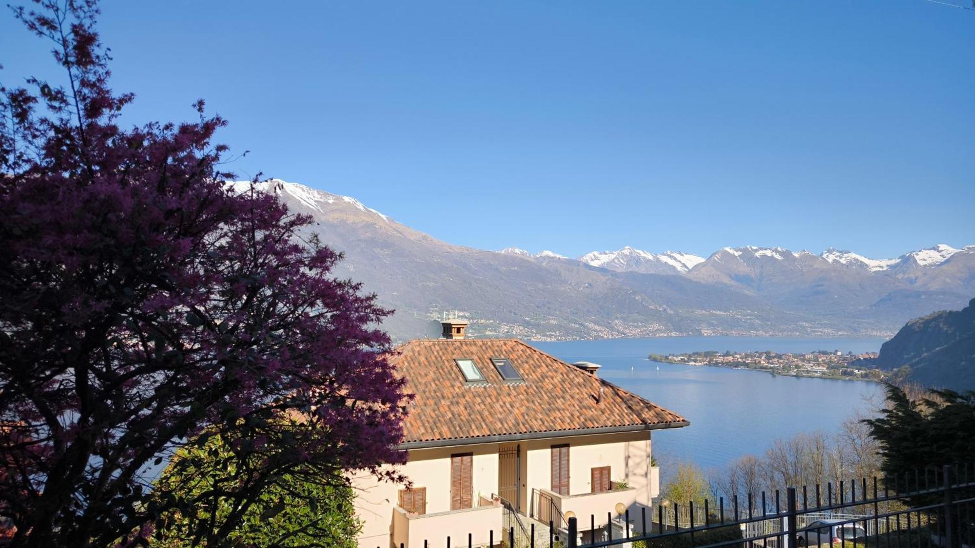 Apartment With Garden And Terrace Beautiful Lake View Bellano Exterior photo